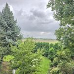 dom Ciechanów (5)