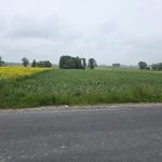 #gmina Regimin działka rolna
