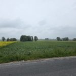 #gmina Regimin działka rolna