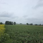 #gmina Regimin działka rolna