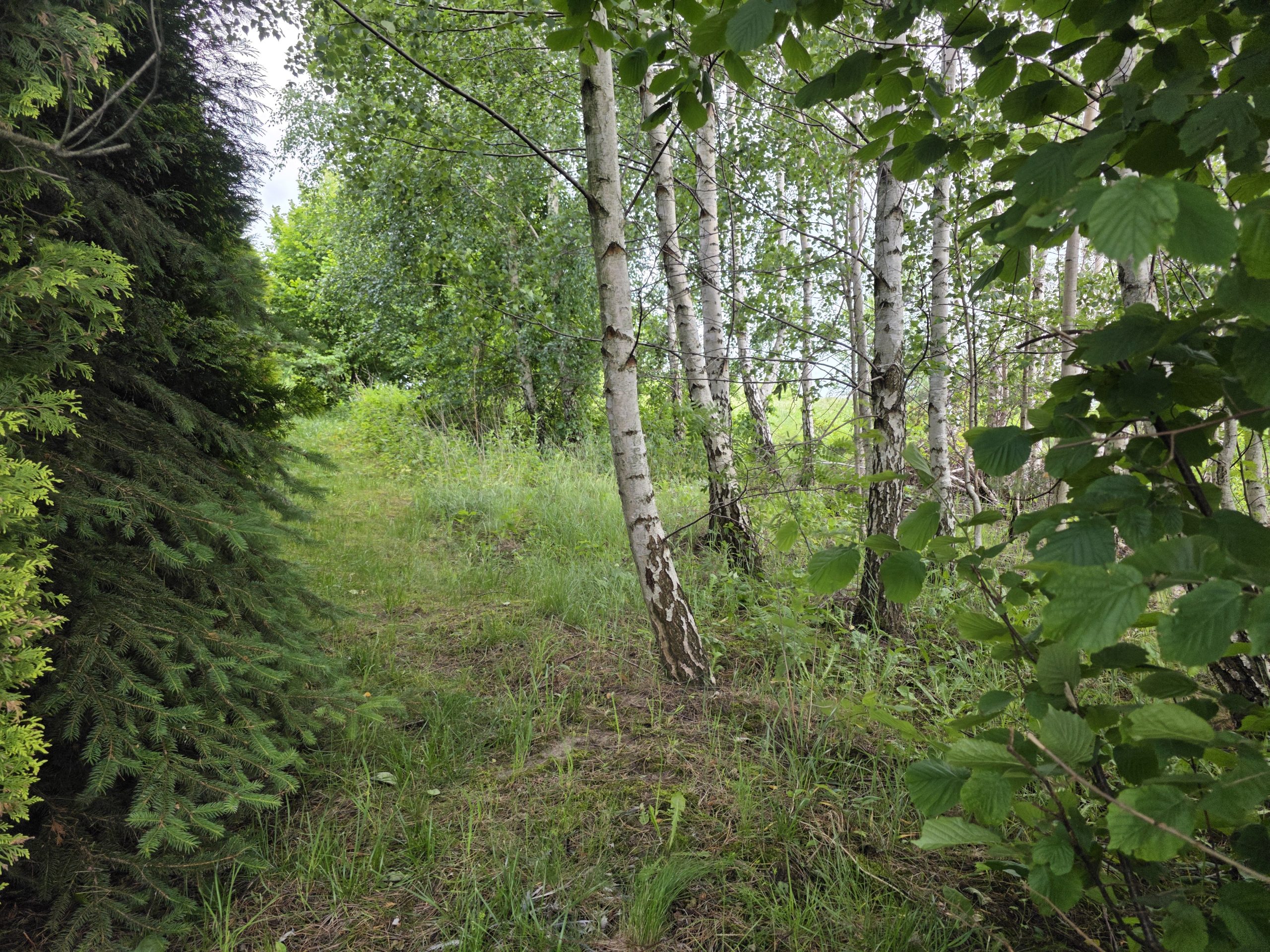 Read more about the article Działka z MPZP | 1135m2 | Gąski ul. Leśna