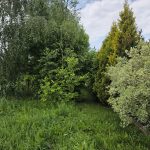 #działka Gąski, ul. Leśna
