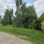 #działka Gąski, ul. Leśna