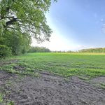 działka Pęchcin z warunkami zabudowy (2)
