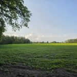 działka Pęchcin z warunkami zabudowy (3)