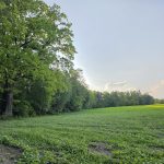 działka Pęchcin z warunkami zabudowy (4)