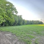 działka Pęchcin z warunkami zabudowy (5)