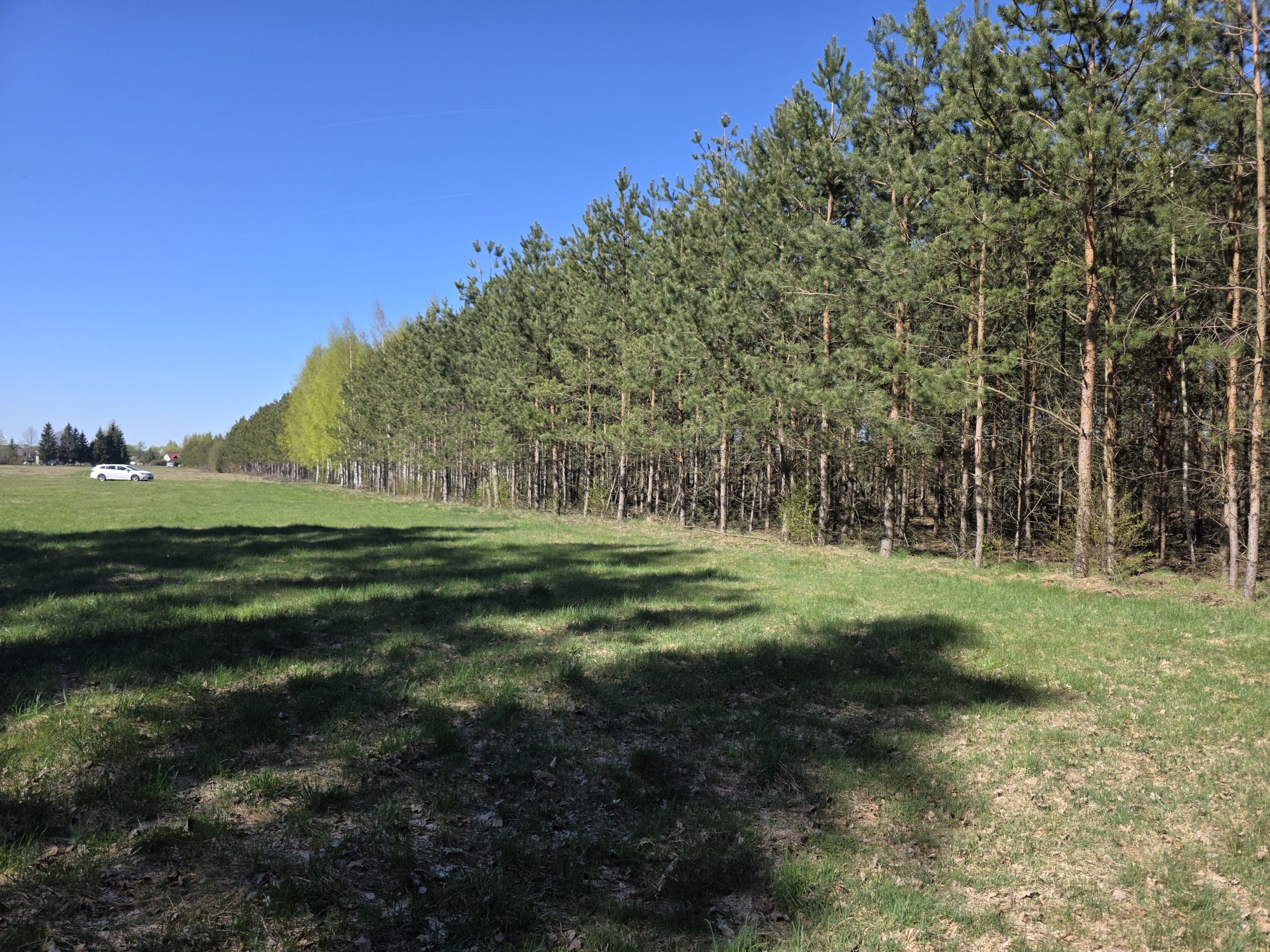 Read more about the article Las na sprzedaż | dwie działki leśne o łącznej powierzchni 10,73 HA