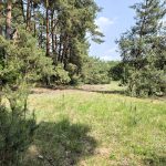 @na sprzedaż działka budowlana@ (3)
