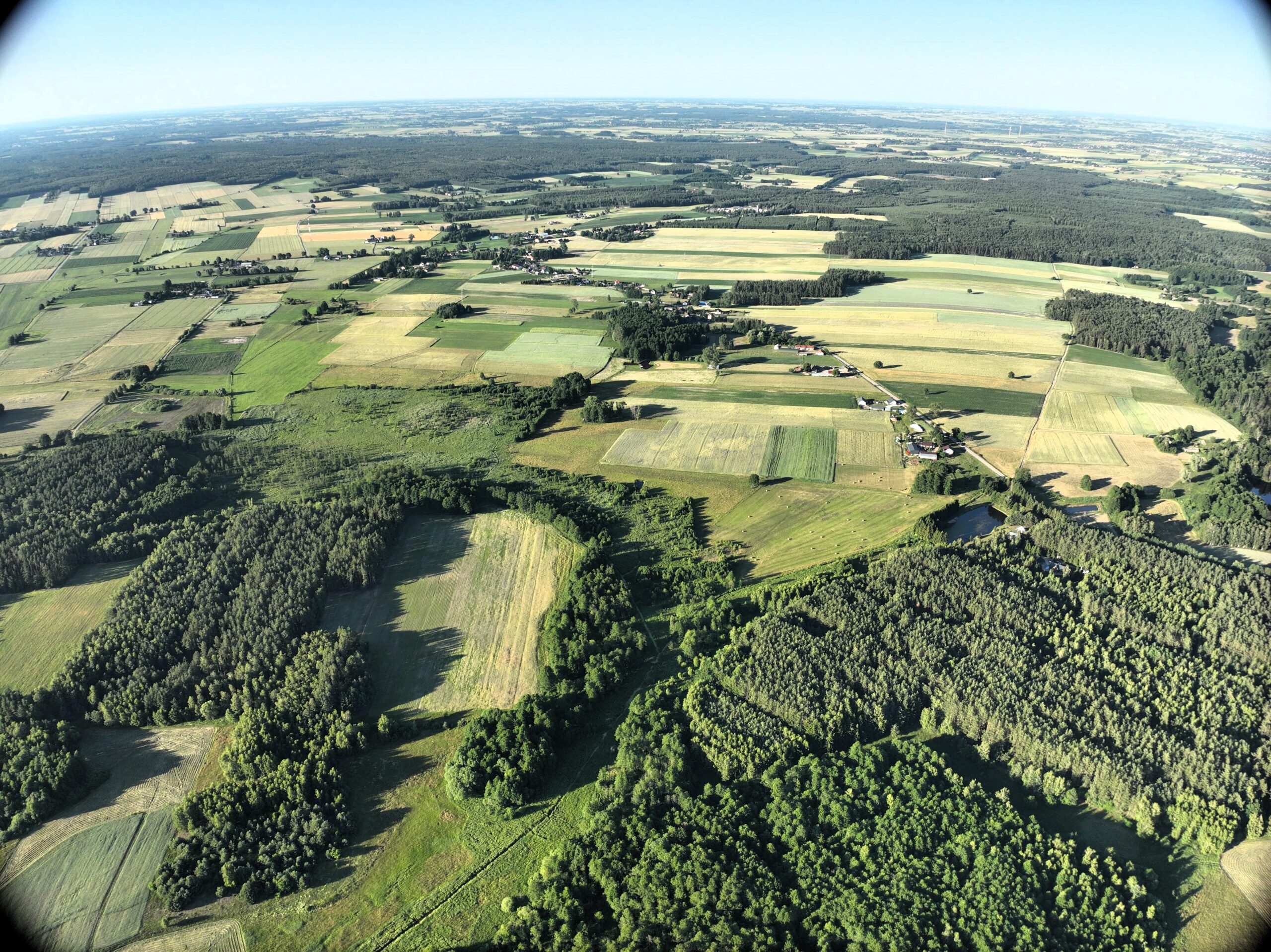 Read more about the article Na Sprzedaż: Kompleks Gruntów Rolnych – 16,08HA (Chotum, woj. mazowieckie)