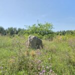 działka Bieńki (9)