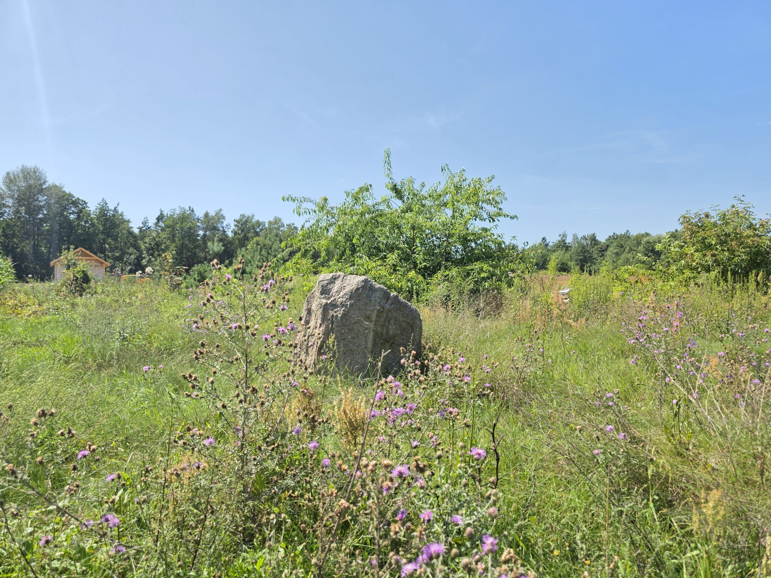 działka Bieńki (9)
