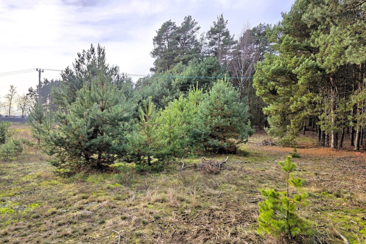 działka 2935m2 Bieńki Śmietanki