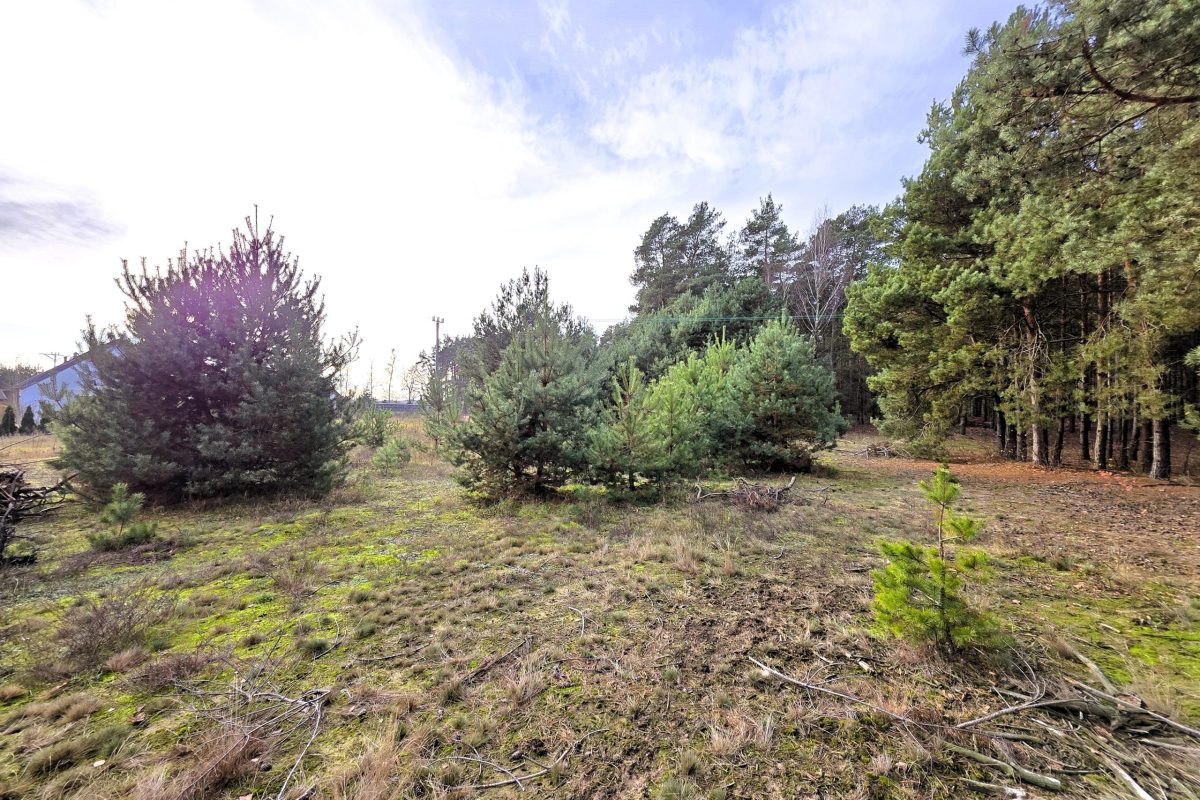 działka 2935m2 Bieńki Śmietanki