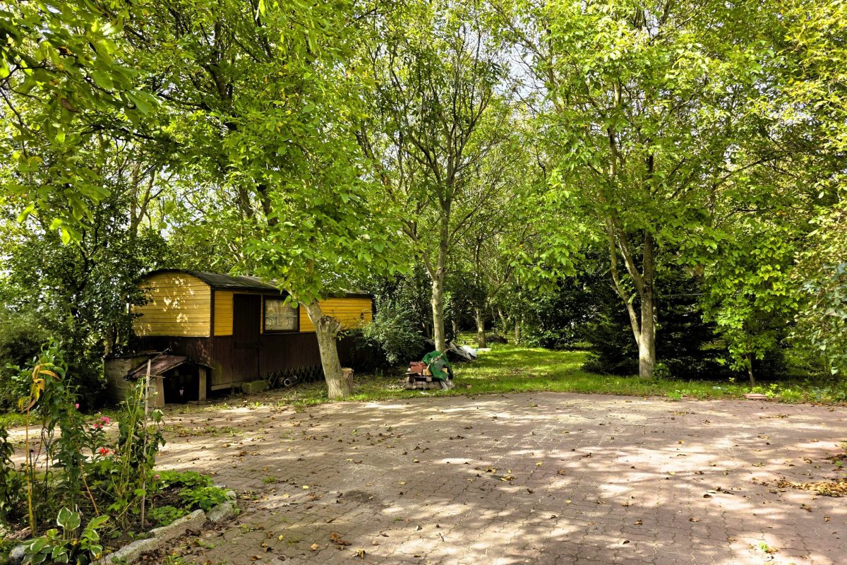 dom Ciechanów (7)