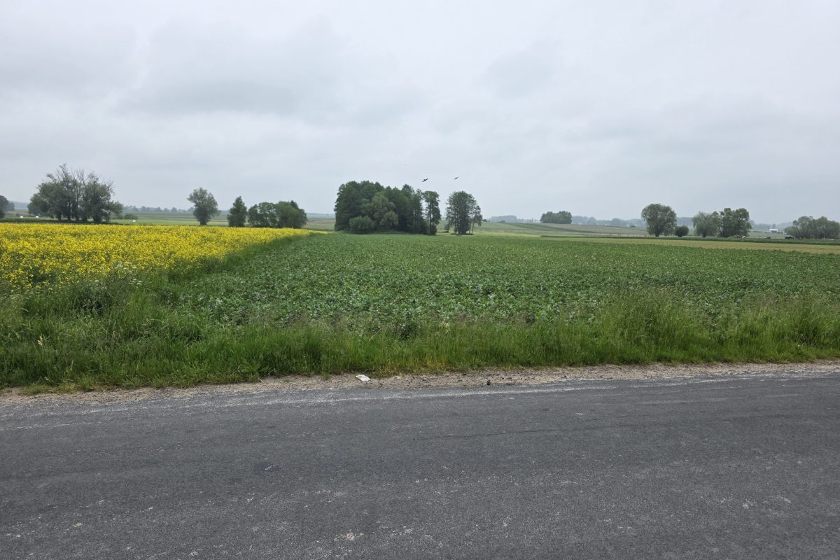 #gmina Regimin działka rolna