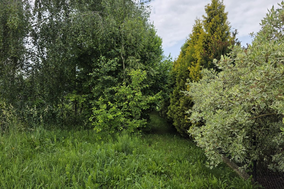 #działka Gąski, ul. Leśna