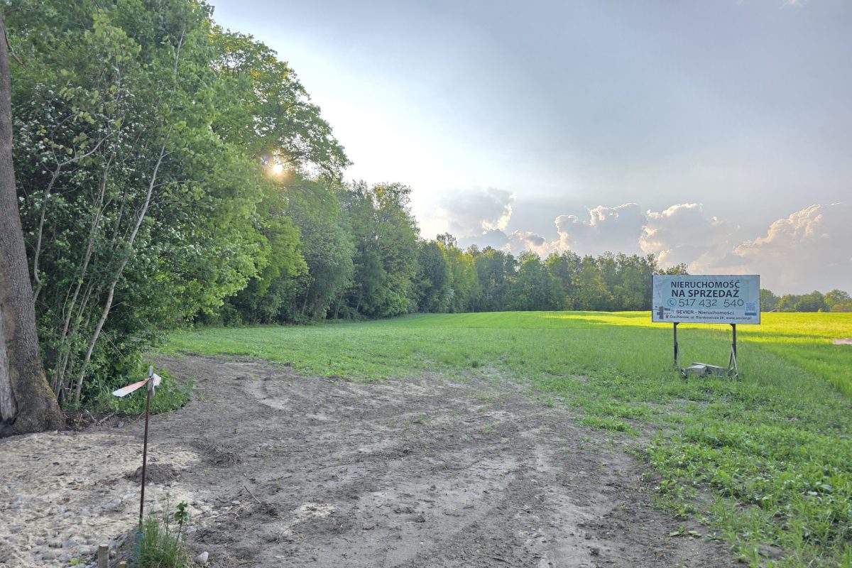 działka Pęchcin z warunkami zabudowy (6)