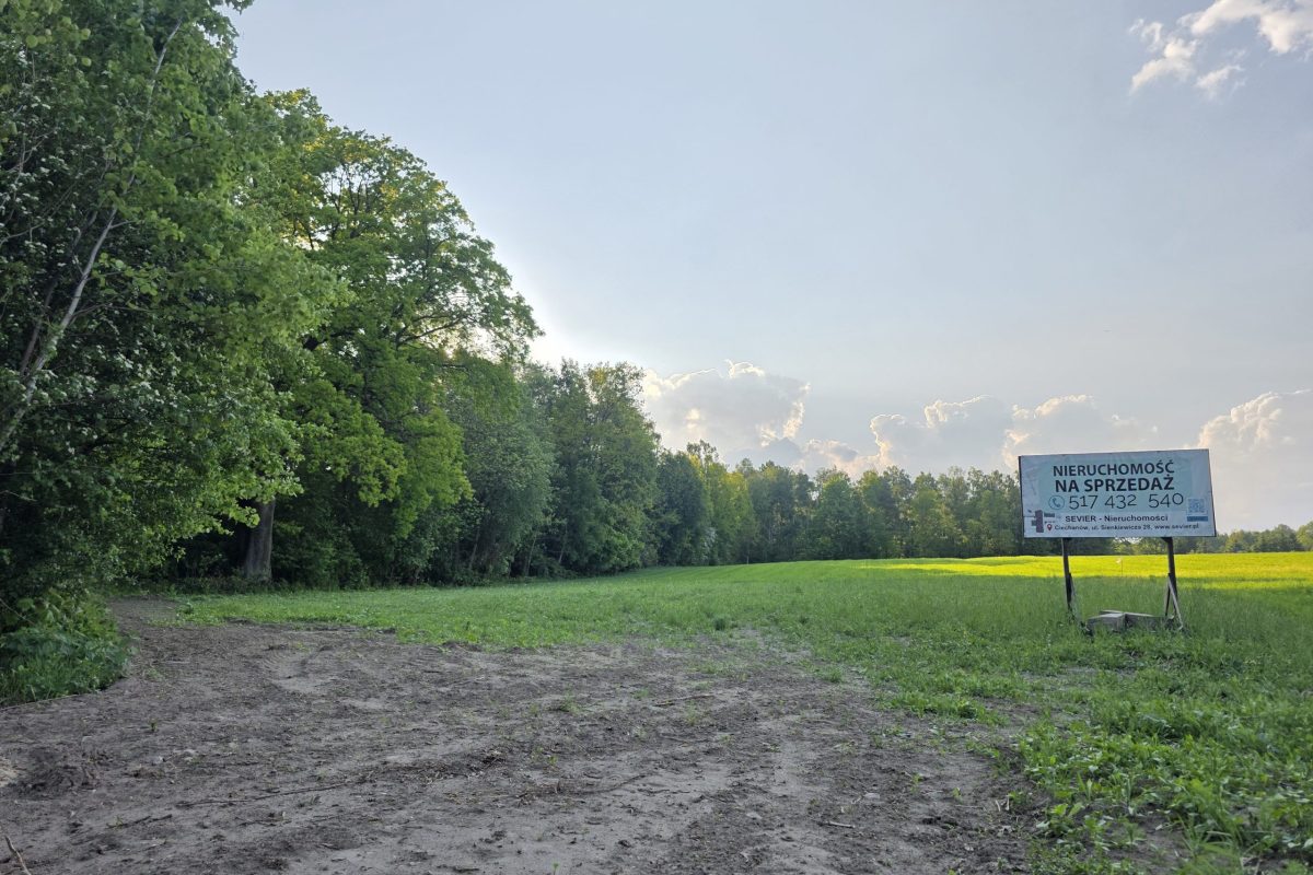 działka Pęchcin z warunkami zabudowy (7)
