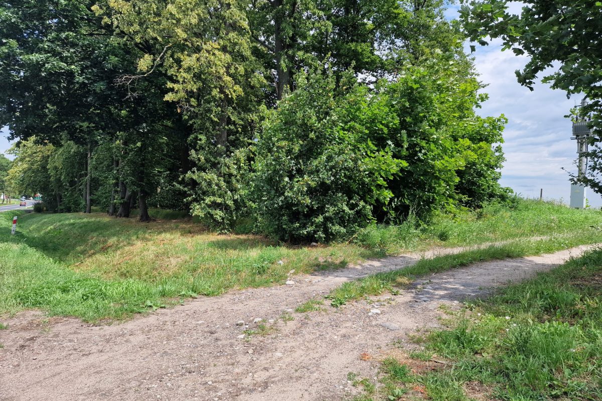 działka siedliskowa Przążewo