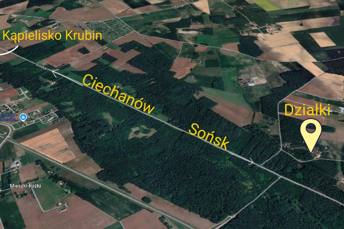 #działki #Las #dziakiwlesie