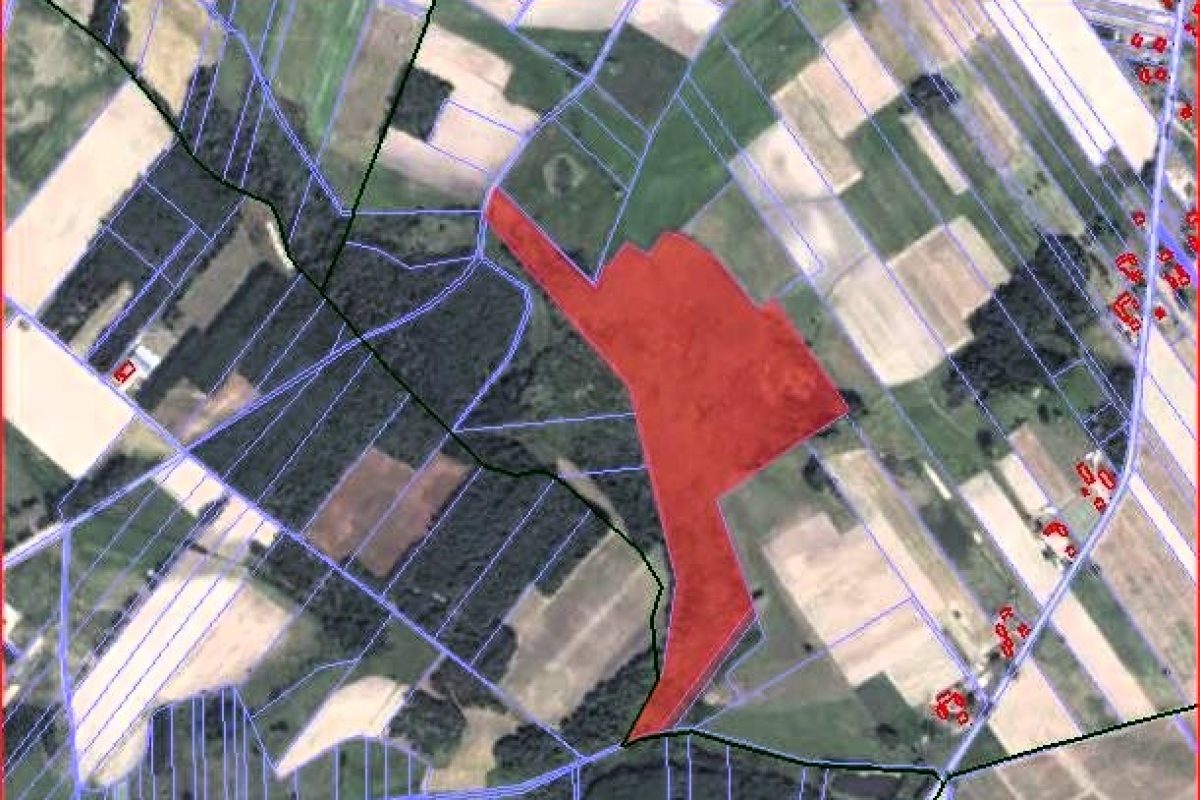 sprzedaż grunty organiczne 16 ha Chotum gmina Ciechanów@ (1)
